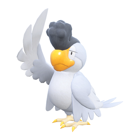 Squawkabilly (White Plumage), a Normal/Flying type Pokemon in Pokemon Champions